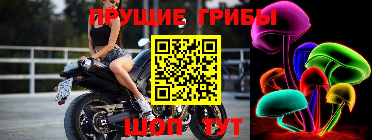 Псилоцибиновые грибы ЛСД  как найти закладки  Владимир  Вход с VPN 