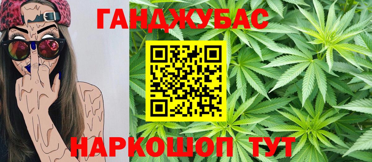 Канабис гибрид Владимир